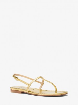 Zapatos Planos Michael Kors Ali Metallic Python Embossed Leather Sandal Mujer Doradas | 6940-TCJEI