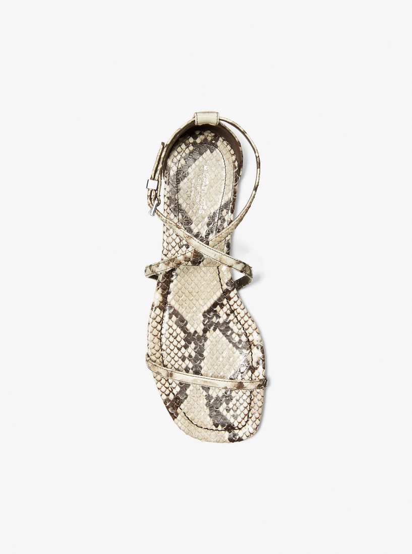 Zapatos Planos Michael Kors Polly Python Embossed Leather Sandal Mujer Beige | 1593-ESKFM